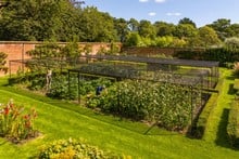 Steel Fruit Cages