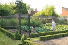 Steel Fruit Cages