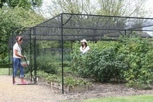 Steel Fruit Cages