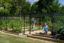 Steel Fruit Cages