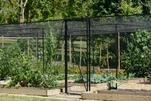 Steel Vegetable Cage with Butterfly Net (2m H)