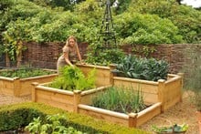 Superior Wooden Raised Beds