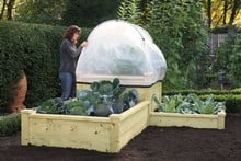 Superior Wooden Raised Beds