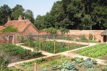 Timber Fruit Cages Timber Fruit Cages