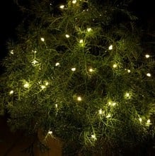 40 LED Fairylights with Auto Timer for Indoor/Outdoor Use