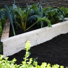 Allotment Corner Wooden Raised Beds