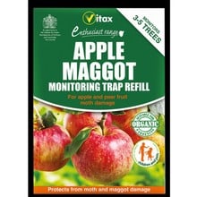 Apple Maggot Monitoring Trap