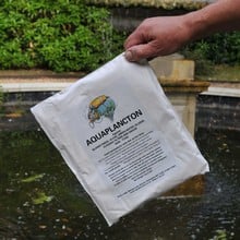 Aquaplancton - Pond Clearing Treatment