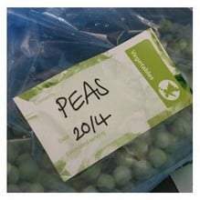 Assorted Freezer Labels