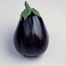 Aubergine Black Beauty - Organic Plant Packs