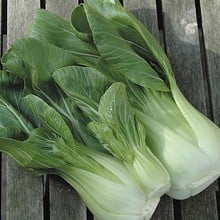 Autumn - Pak Choi Hanakan (10 Plants) Organic