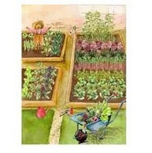 Autumn/Winter Raised Bed Garden