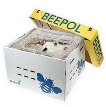 Beepol Bumblebee Hive