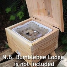 Beepol Bumblebee Hive