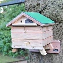 Beepol Bumblebee Tree Lodge