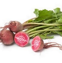 Beetroot - Chioggia - Organic Plant Packs