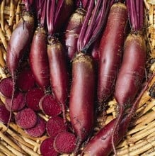 Beetroot Cylindra - Organic Plant Packs