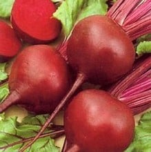 Beetroot Detroit - Organic Plant Packs