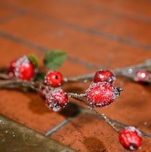 Berries & Ice Christmas Garland by Sia