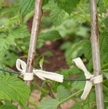 Biodegradable Plant Ties