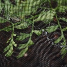 Black Insect Mesh Netting
