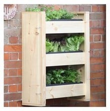 Bookshelf Planter