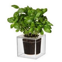 Boskke Cube Self Watering Planter