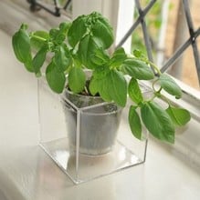 Boskke Cube Self Watering Planter