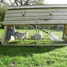 Boughton Chicken House and Run