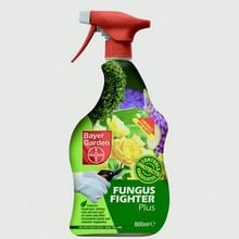 Box Blight Fungus Fighter Box Blight Fungus Fighter