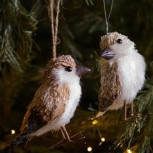 Bristle Bird Tree Decorations by Gisela Graham