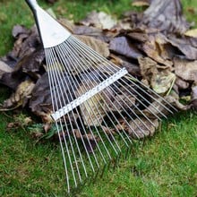 Burgon and Ball Spring Tine Lawn Rake