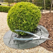 Burgon and Ball Topiary Hedge Shears