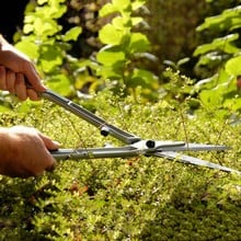 Burgon and Ball Topiary Hedge Shears