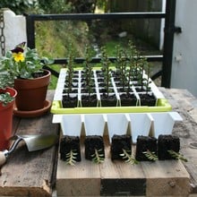 Bustaseed Tip Out Propagation Tray
