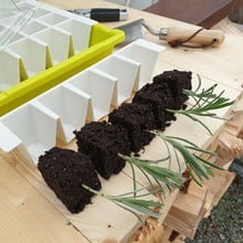 Bustaseed Tip Out Propagation Tray