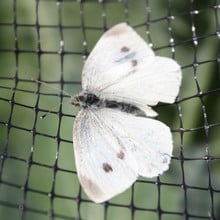 Butterfly Netting Rigid Plastic Mesh
