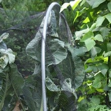 Butterfly Netting Rigid Plastic Mesh