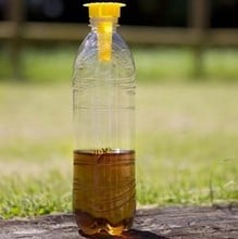 Buzz Off Bottle Top Wasp Traps