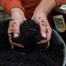 Carbon Gold BioChar Soil Improver 4 litres