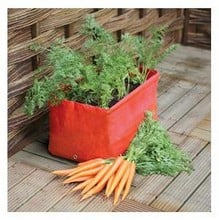 Carrot Patio Planters