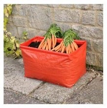 Carrot Patio Planters