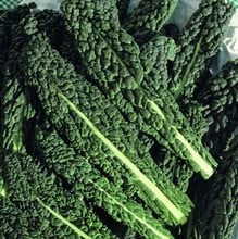 Cavolo Nero Nero di Toscan - Organic Plant Packs