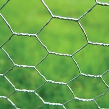 Chicken Wire