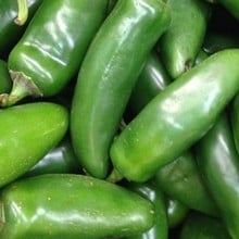 Chilli Pepper Early Jalapeno - Organic Plant Packs