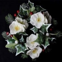 Christmas Rose Mini Wreath Harrod Horticultural