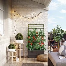 CityJungle Urban Garden Planter Kit CityJungle Urban Garden Planter Kit