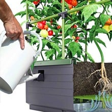 CityJungle Urban Garden Planter Kit CityJungle Urban Garden Planter Kit