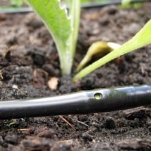 Click & Drip Irrigation Kit