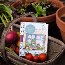 Container Garden Veg Patch Gift Voucher